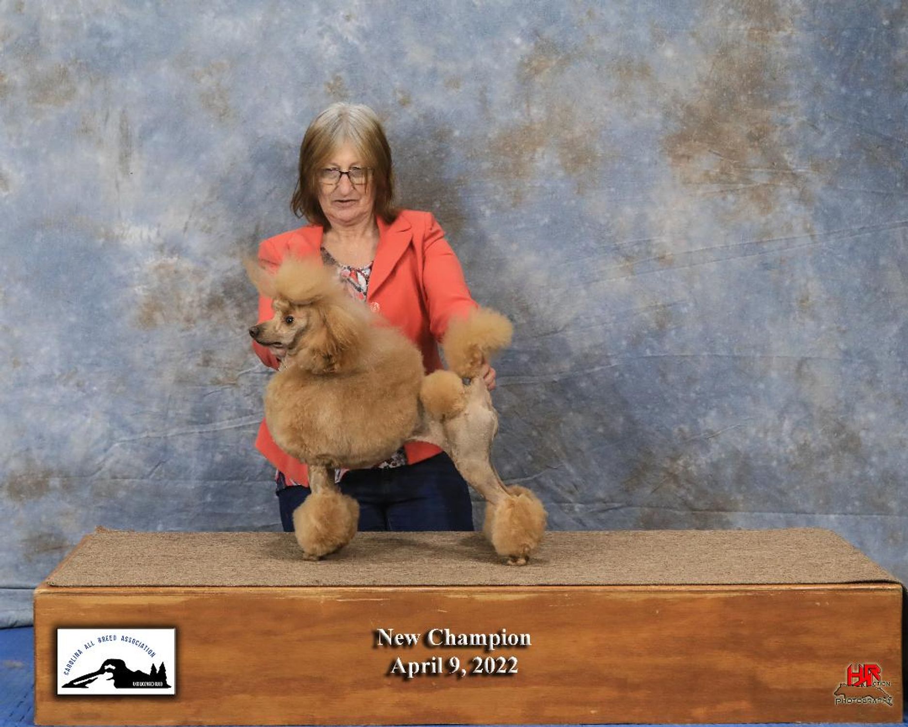 AKC 🇺🇸 winning lineup photo of Anakin Skywalker's father